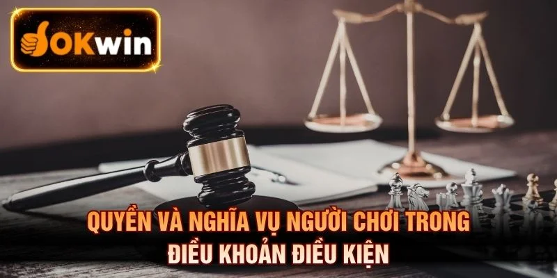 Quyền lợi trách nhiệm người dùng theo điều khoản điều kiện