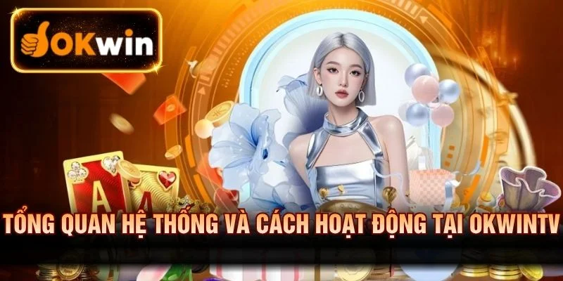 Tổng quan hệ thống và cách hoạt động tại OKWINTV